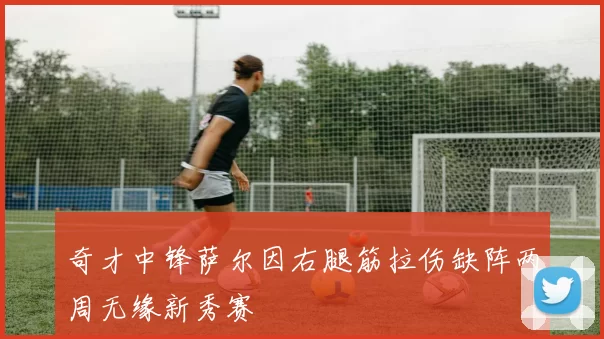 奇才中锋萨尔因右腿筋拉伤缺阵两周无缘新秀赛