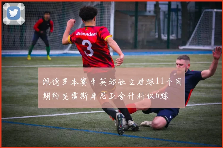 佩德罗本赛季英超独立进球11个同期约克雷斯库尼亚舍什科仅6球